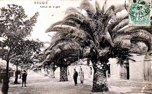 Bougie - Avenue de la Gare - 1907
